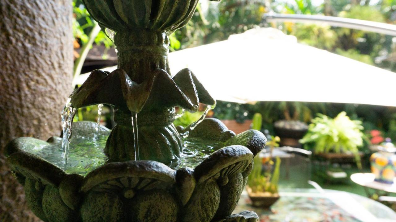 El Jardin Del Eden B&B Boutique Куэрнавака Экстерьер фото